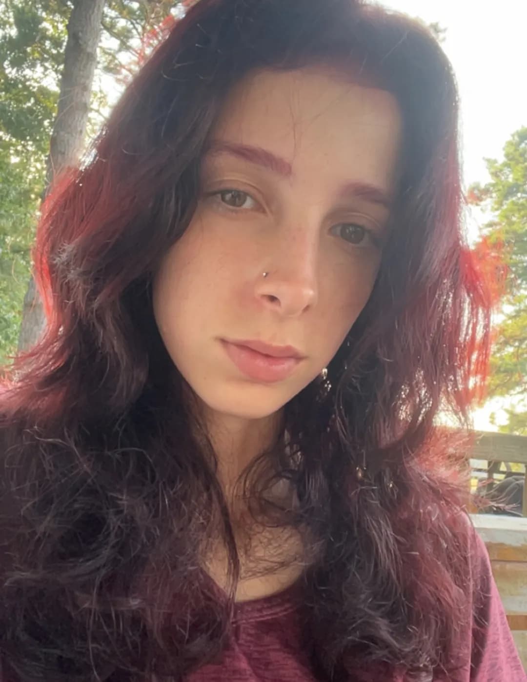 Dani image