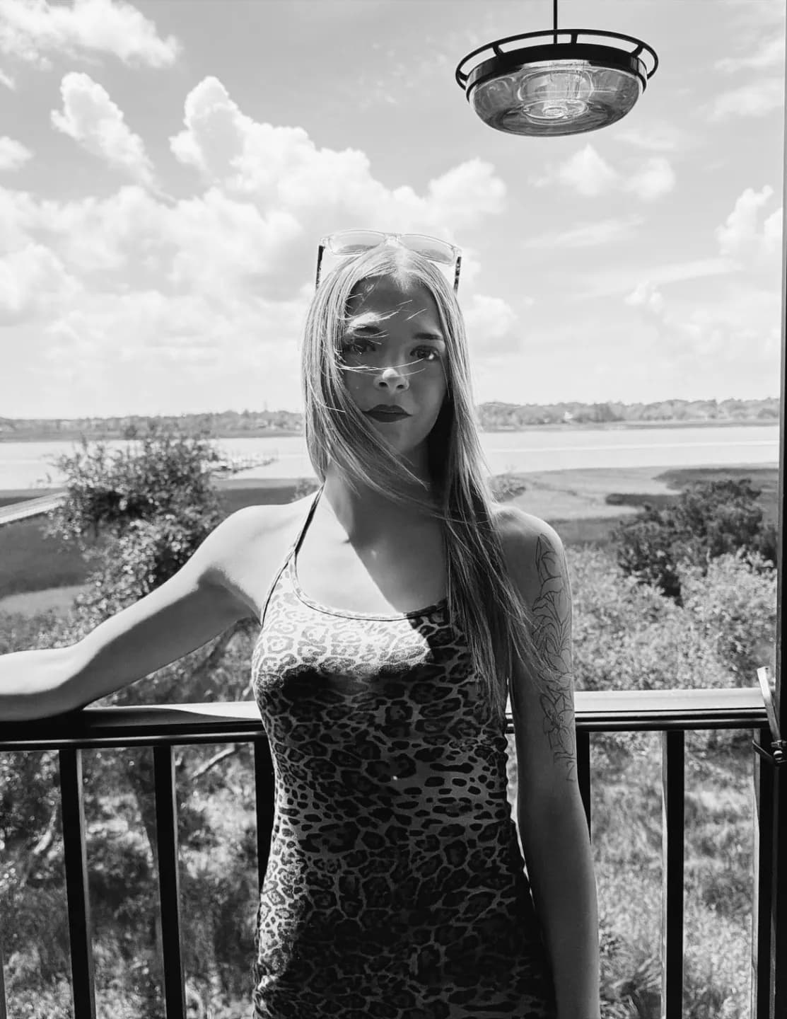 savannaorrr image