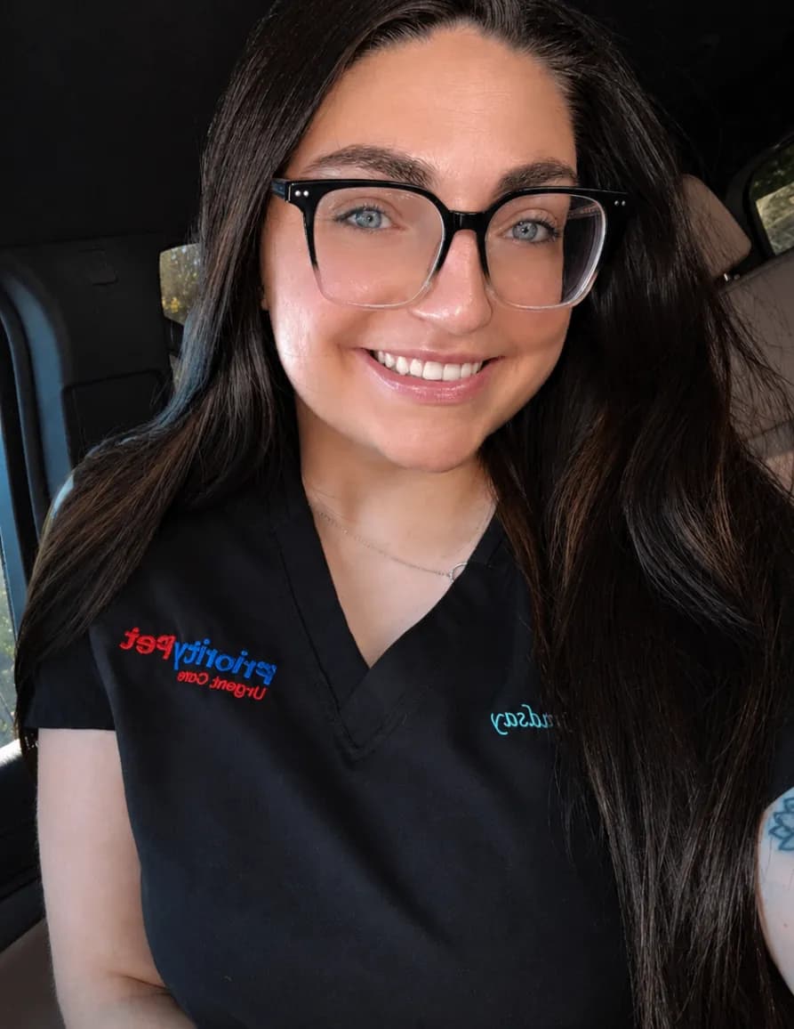 competitor yjpXE