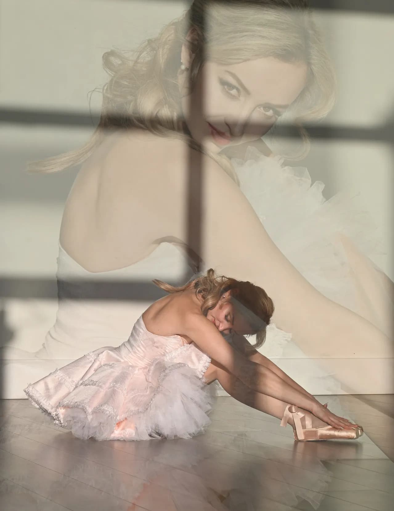 Lena L image