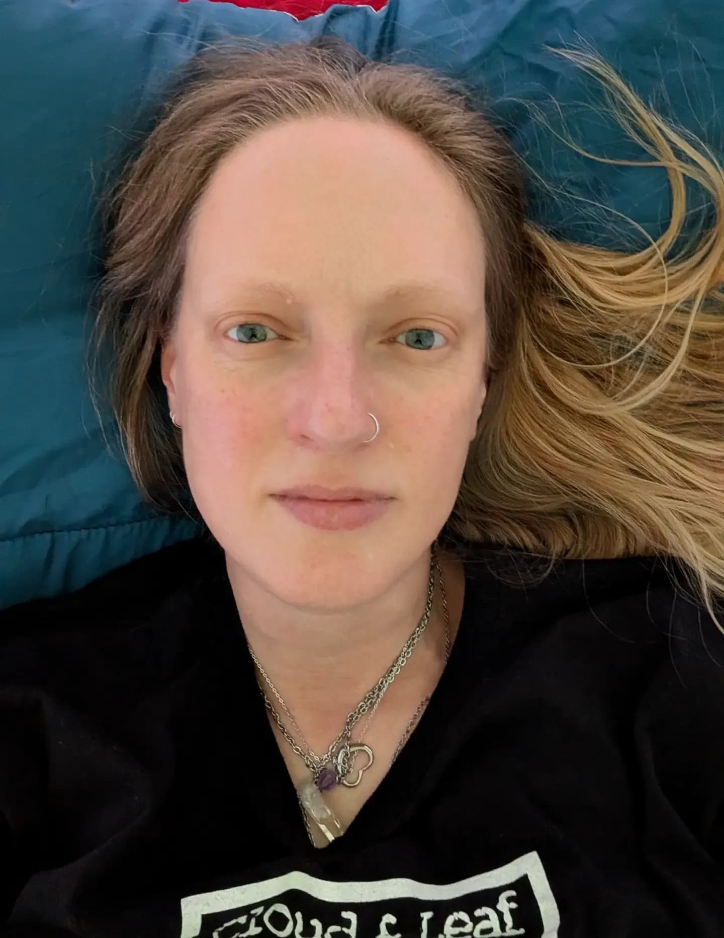 Regina Lynn Bush image