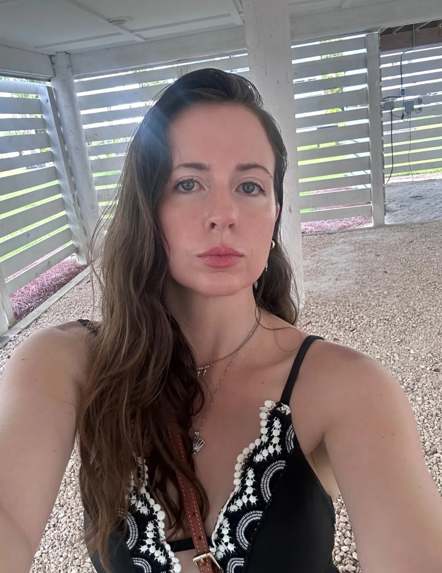 Morgan Alexandria image