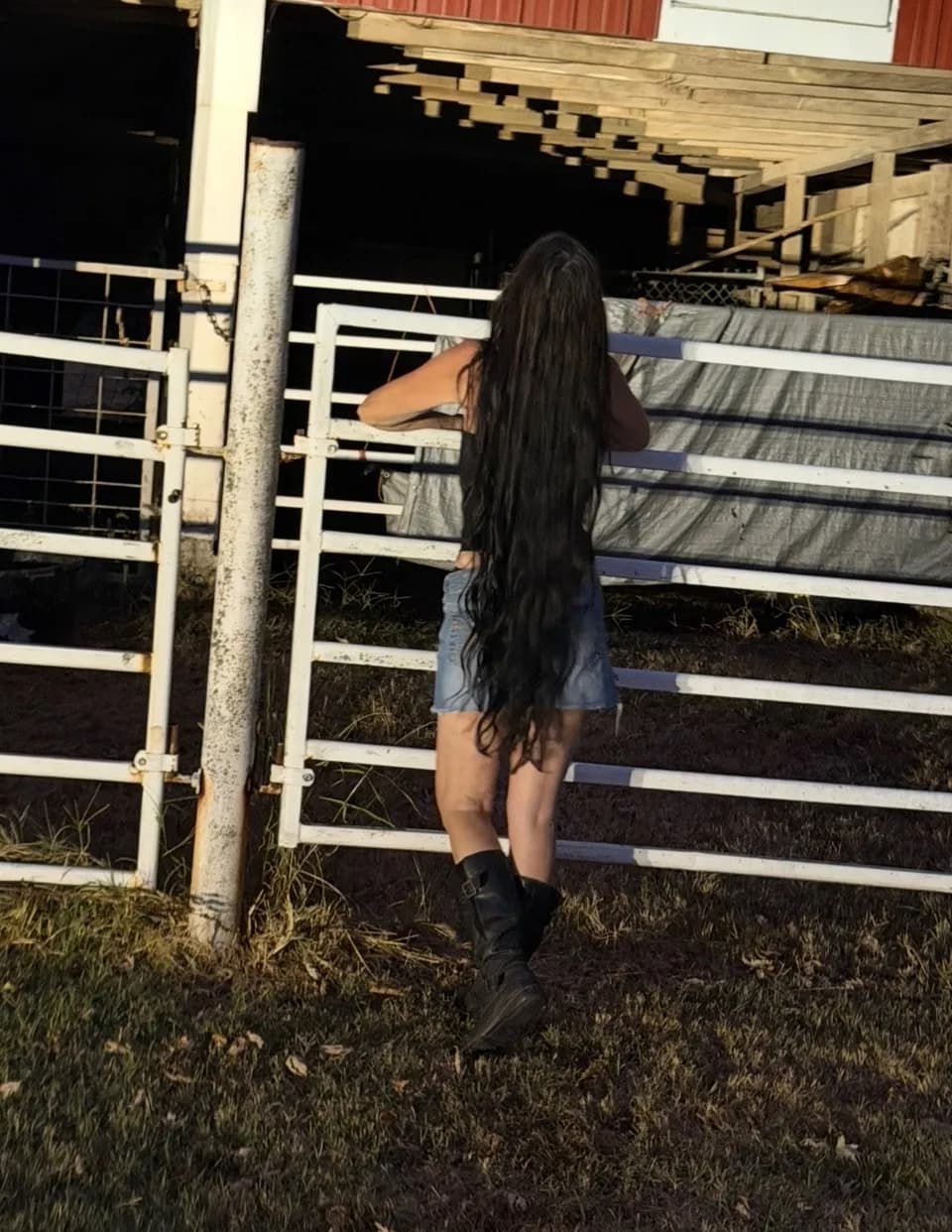 Jennifer miceli image