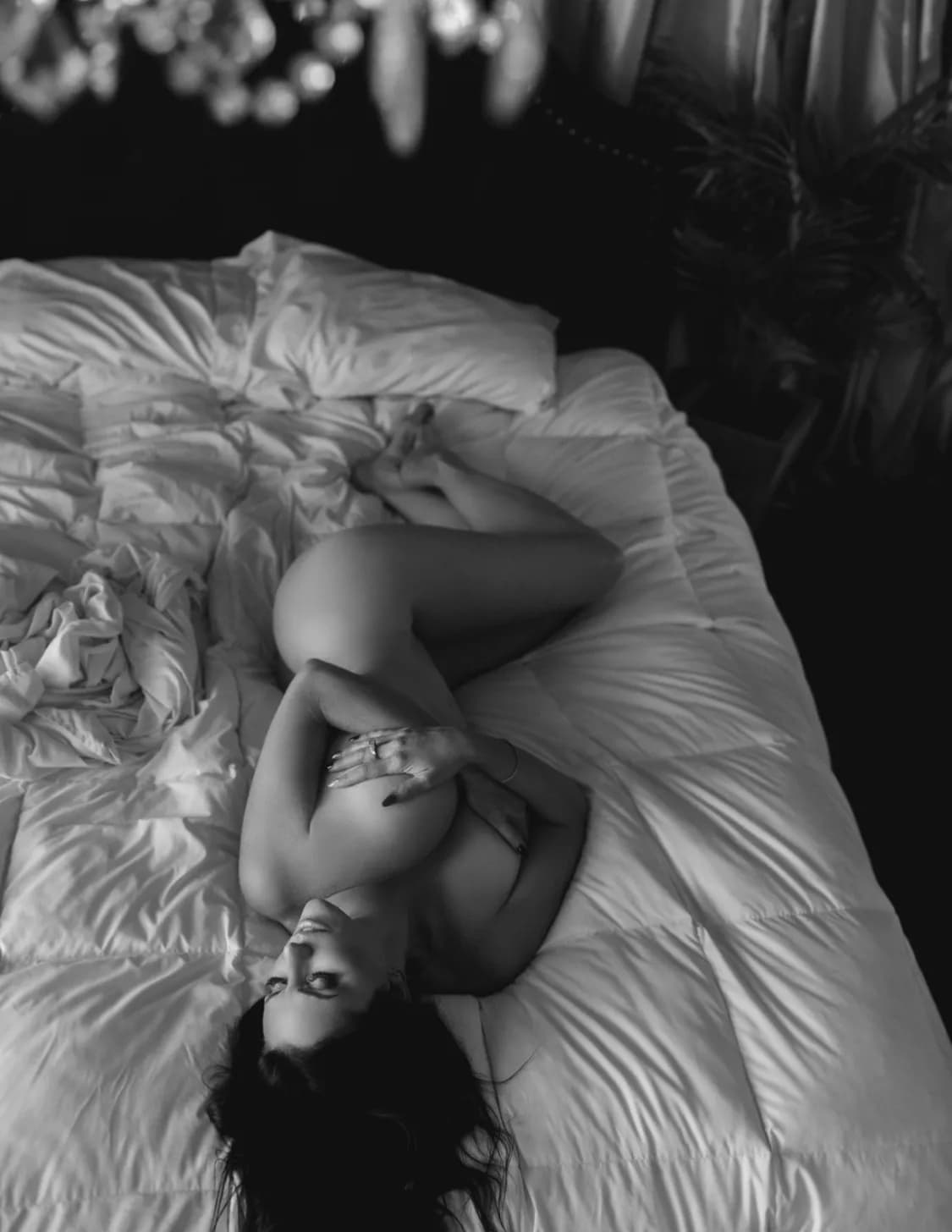 Shannon brushia image