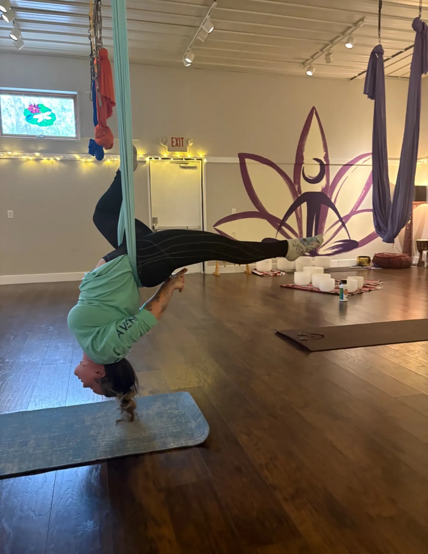 Kayla sosnovich image