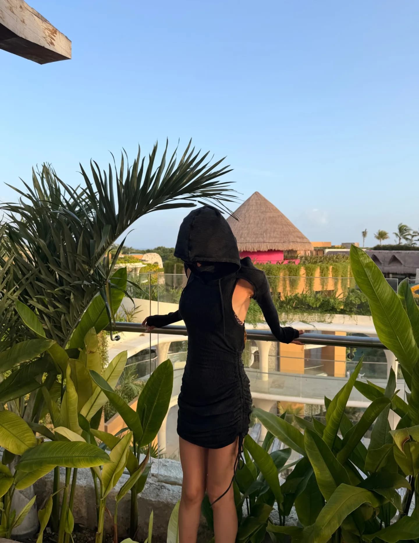 Sophia Roybal image