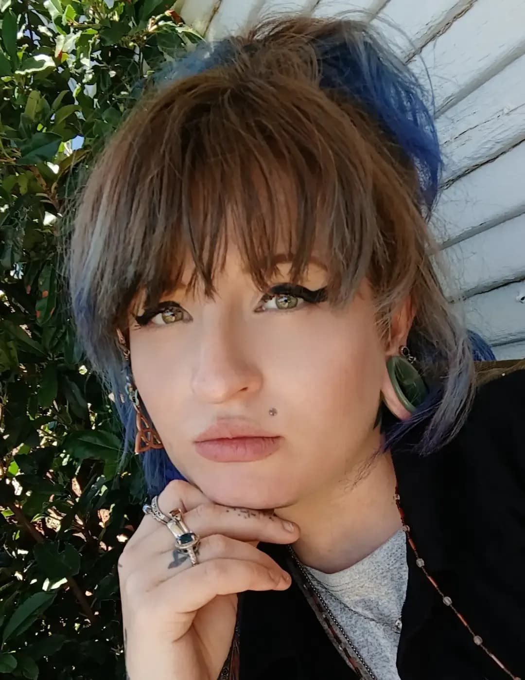 Rissaholloway image
