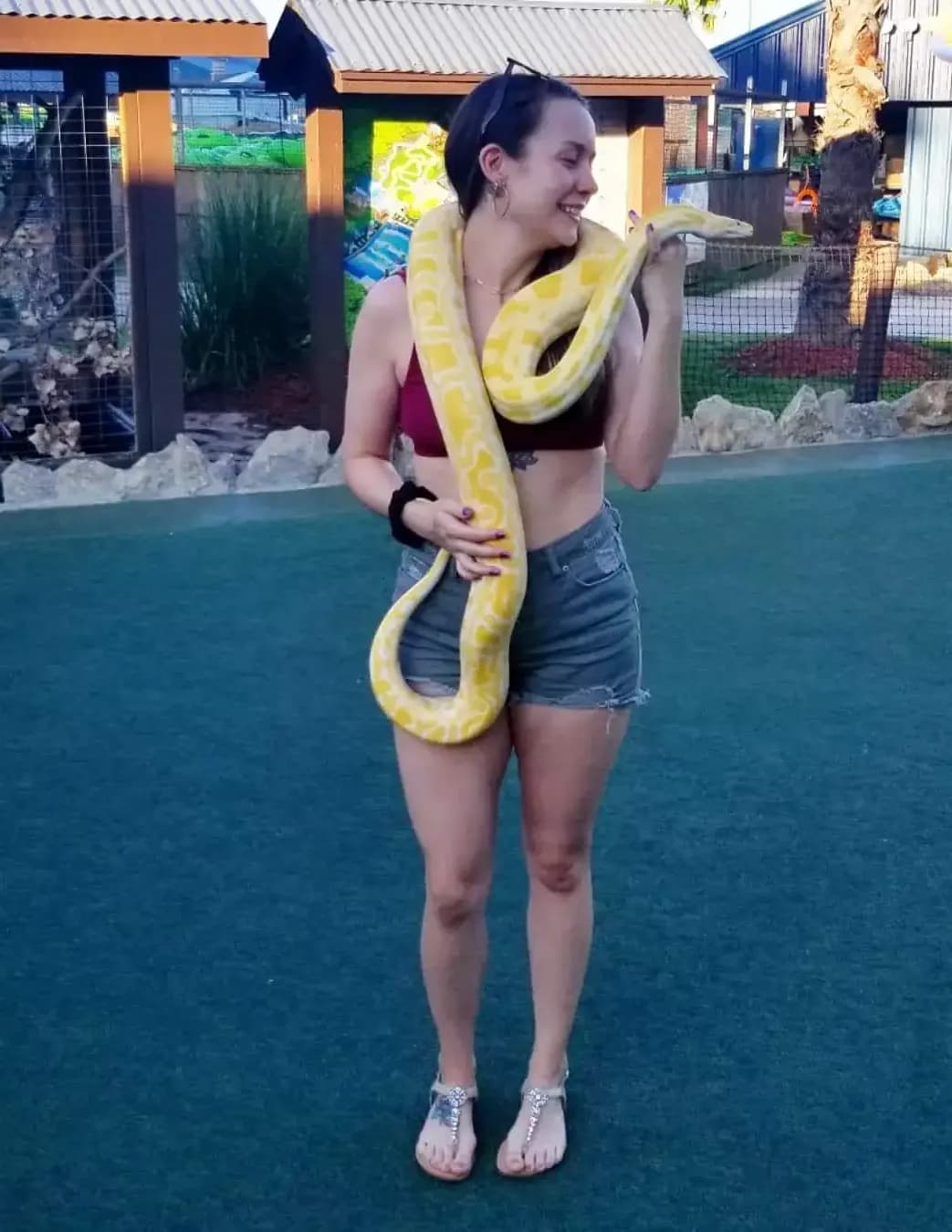 Rachel image