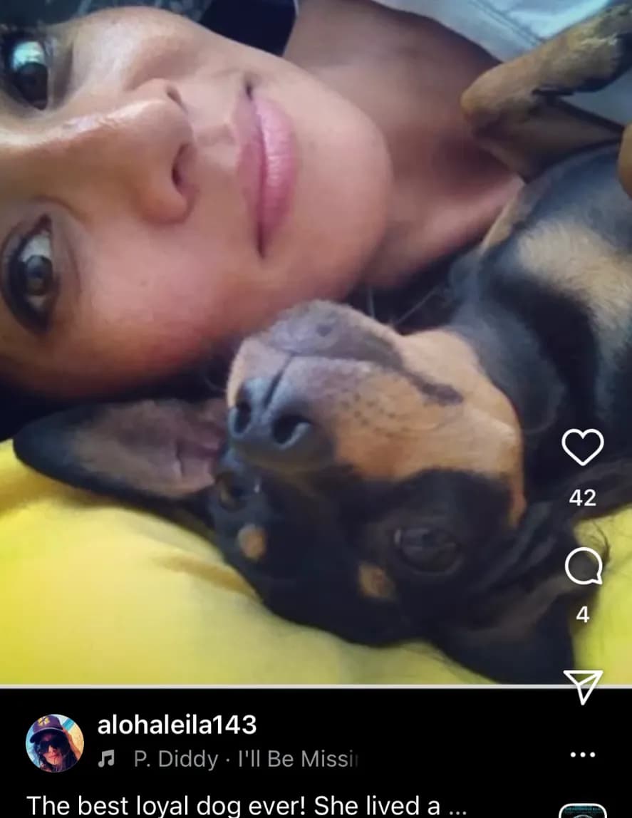 Leila image