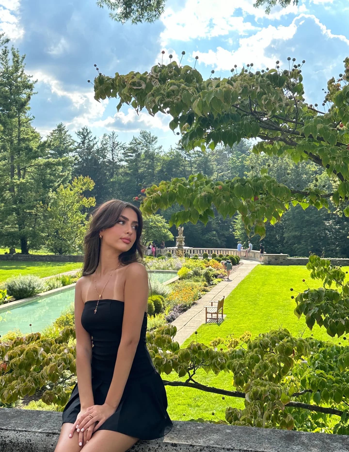 Sarahangeliqa image