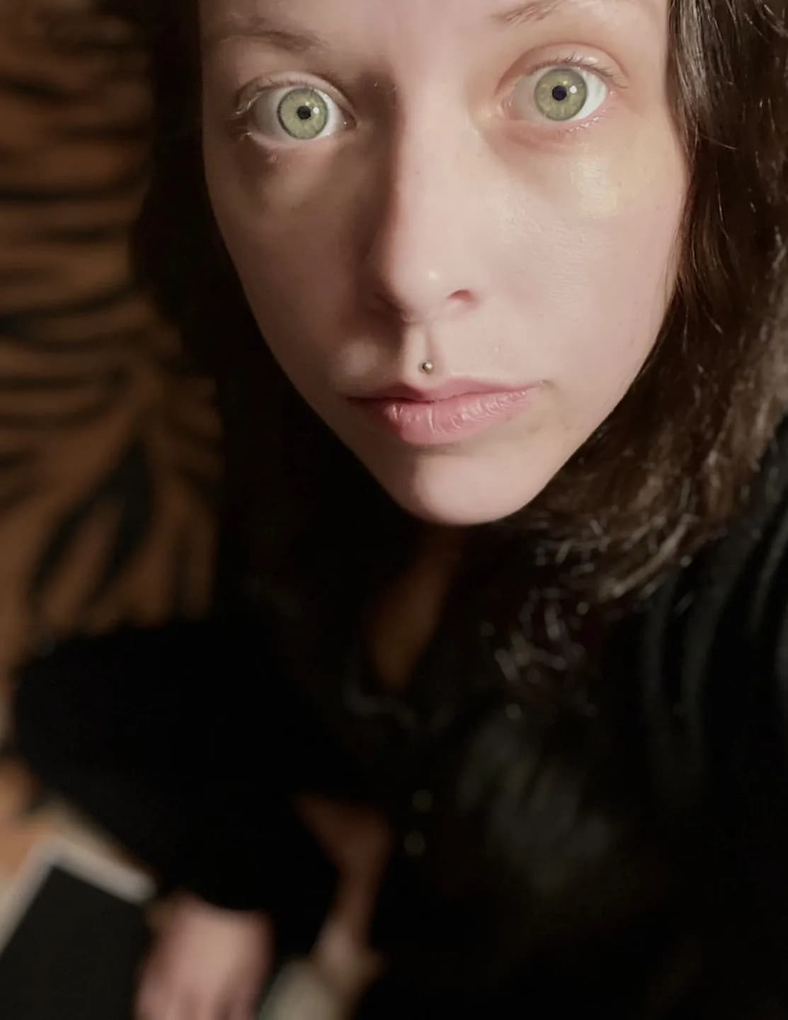 FoxMother image