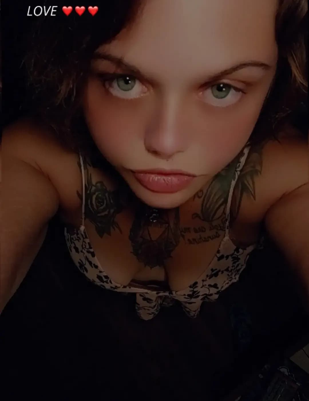 Nevada Barker image