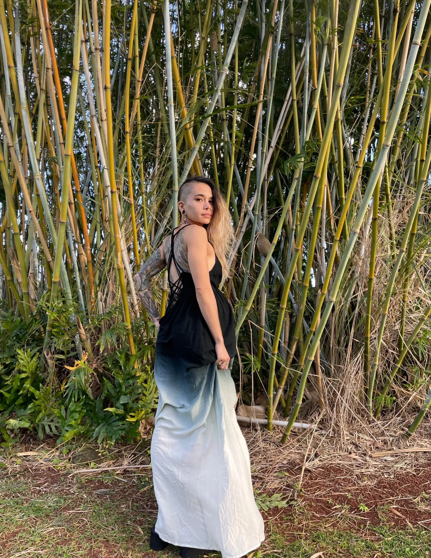 Nikki Limpert image