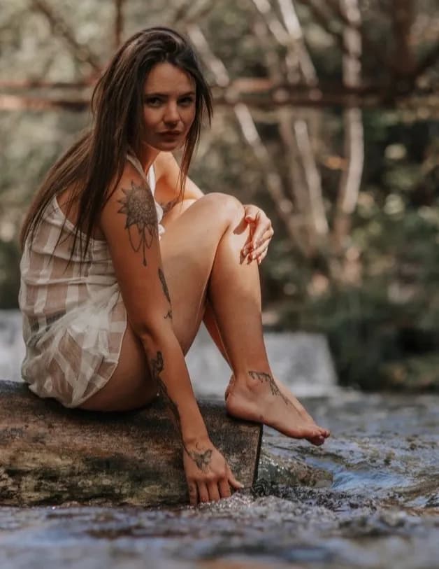 Sierra zoll image
