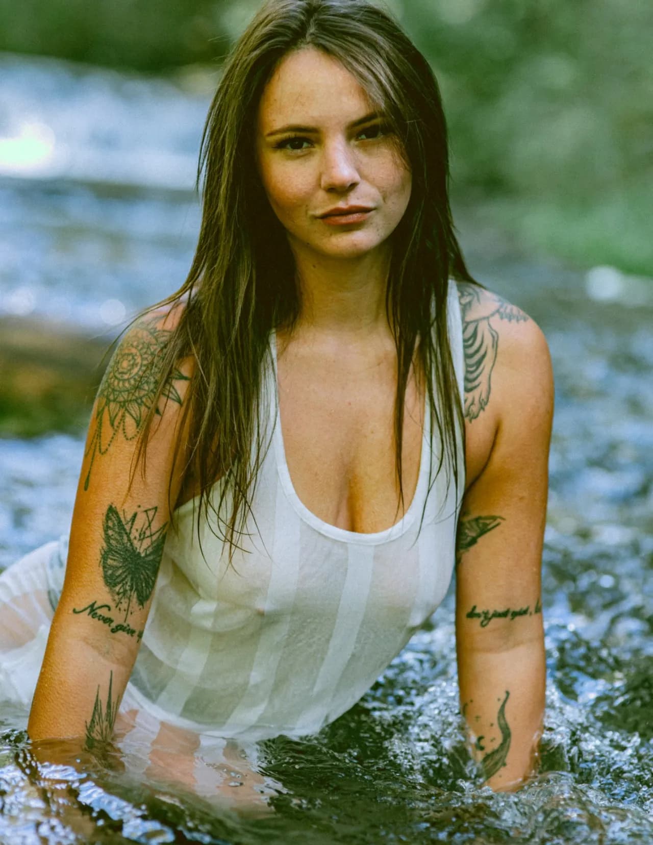 Sierra zoll image