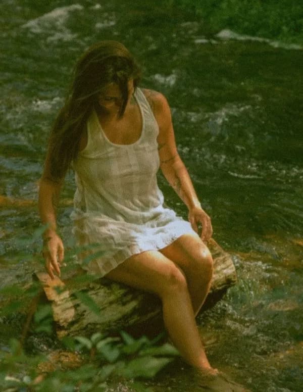 Sierra zoll image