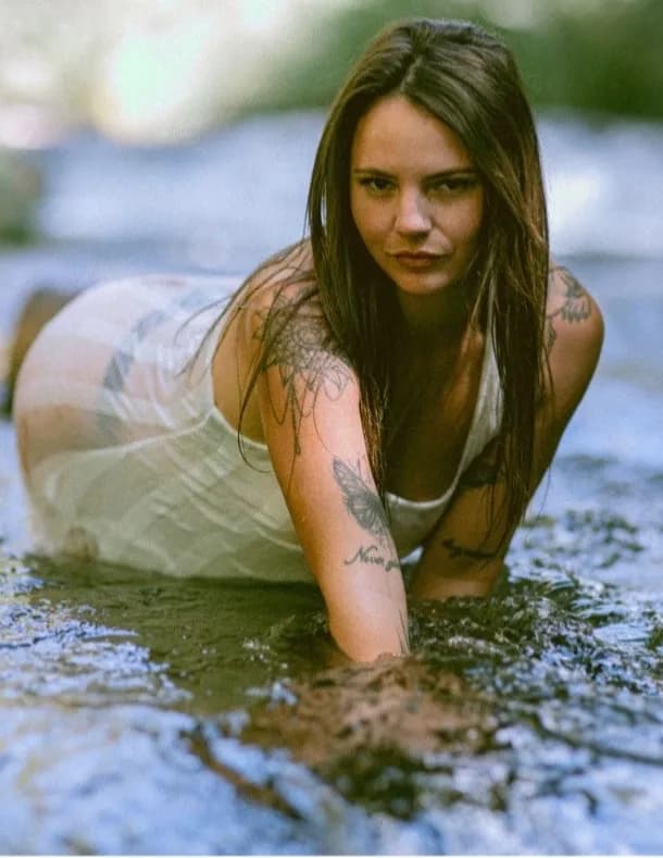 Sierra zoll image