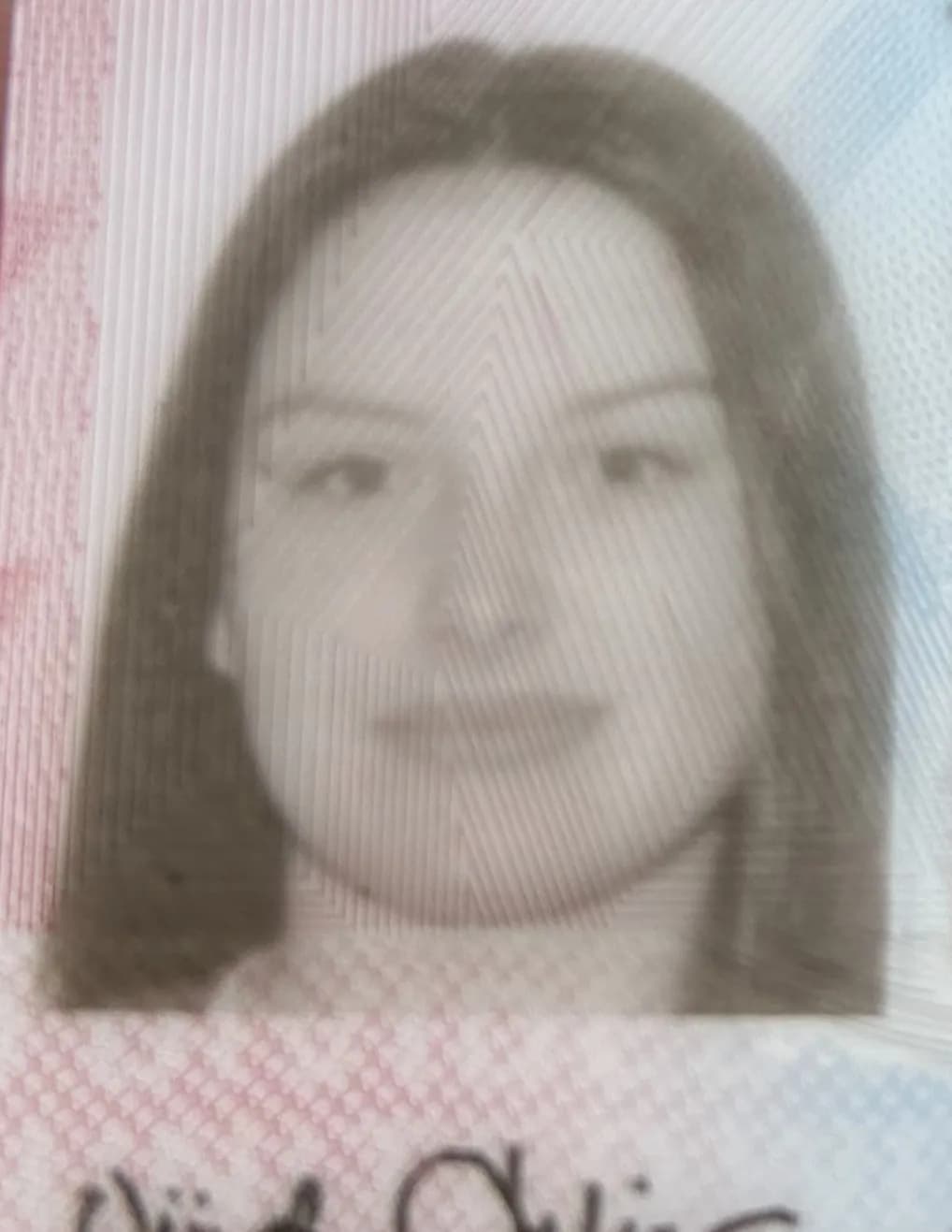 Cataline image