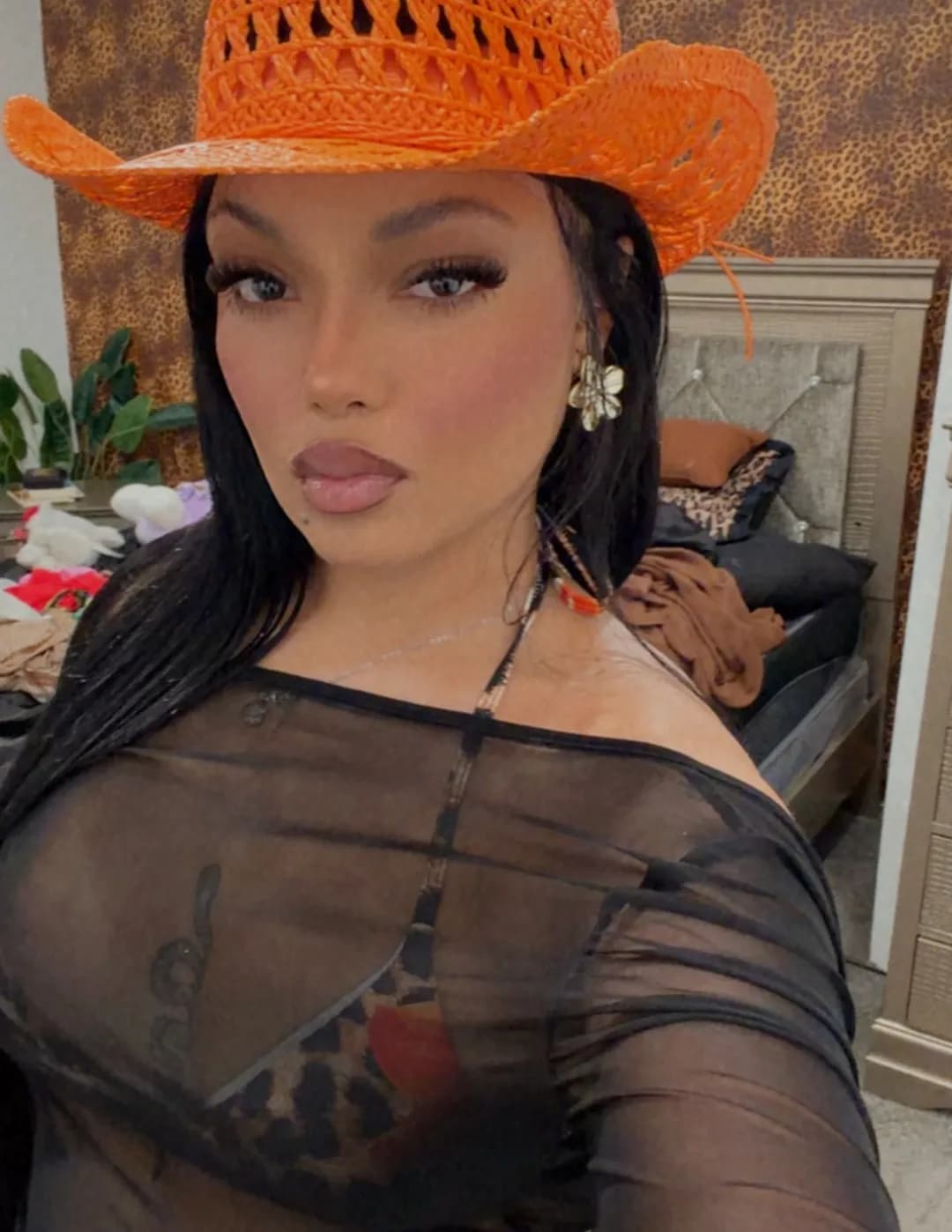 Wilmaly torres image