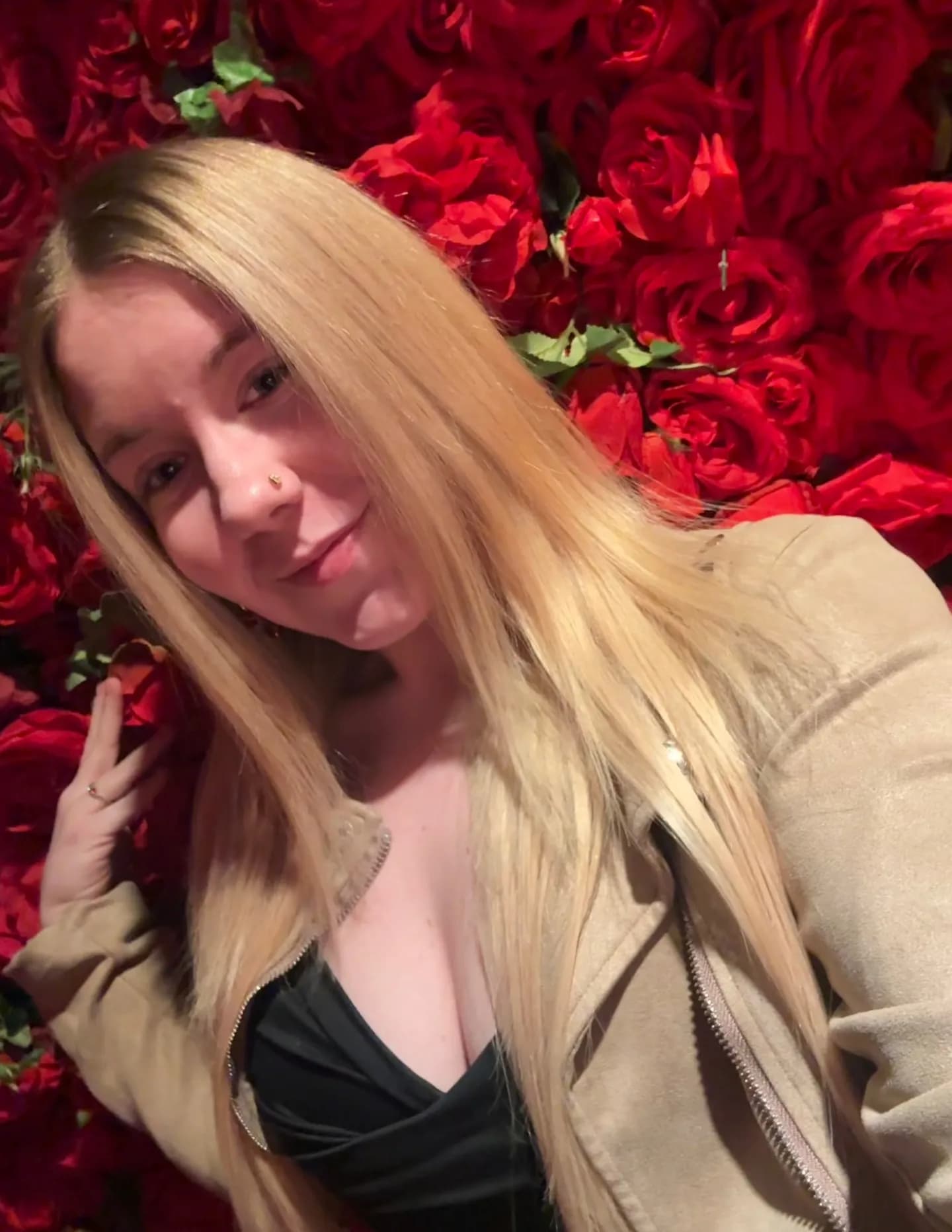 Abbey rose image