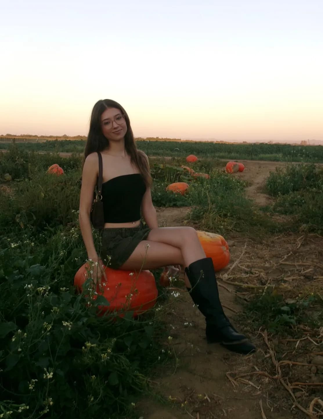 Paigeshort1 image