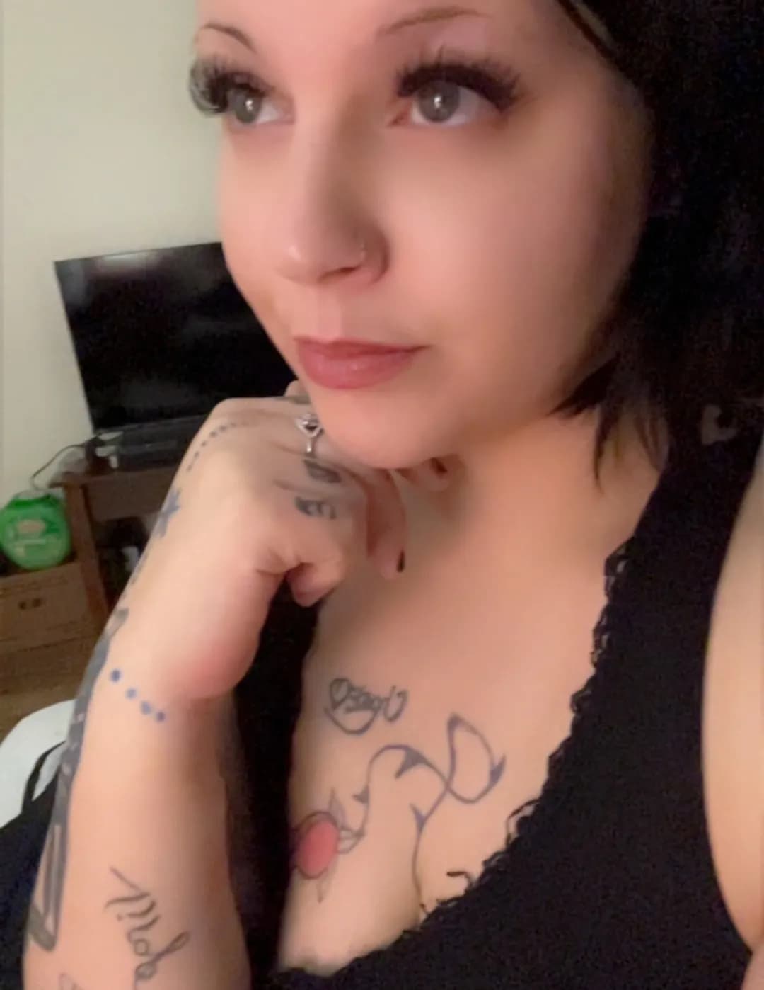 Sheila image