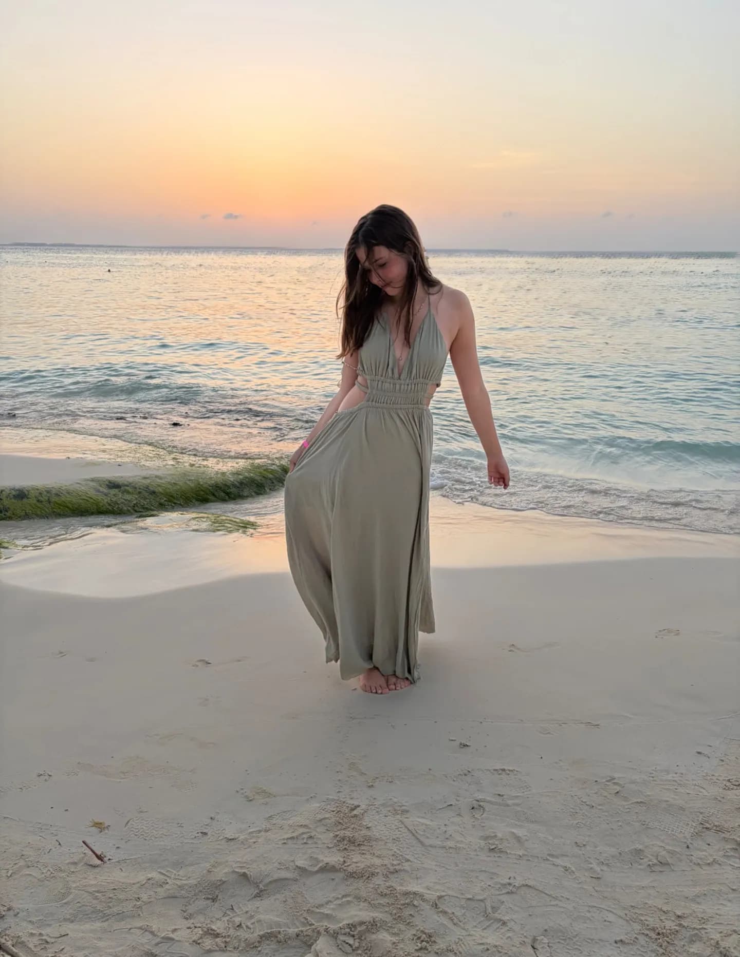 Alexandra Rose image
