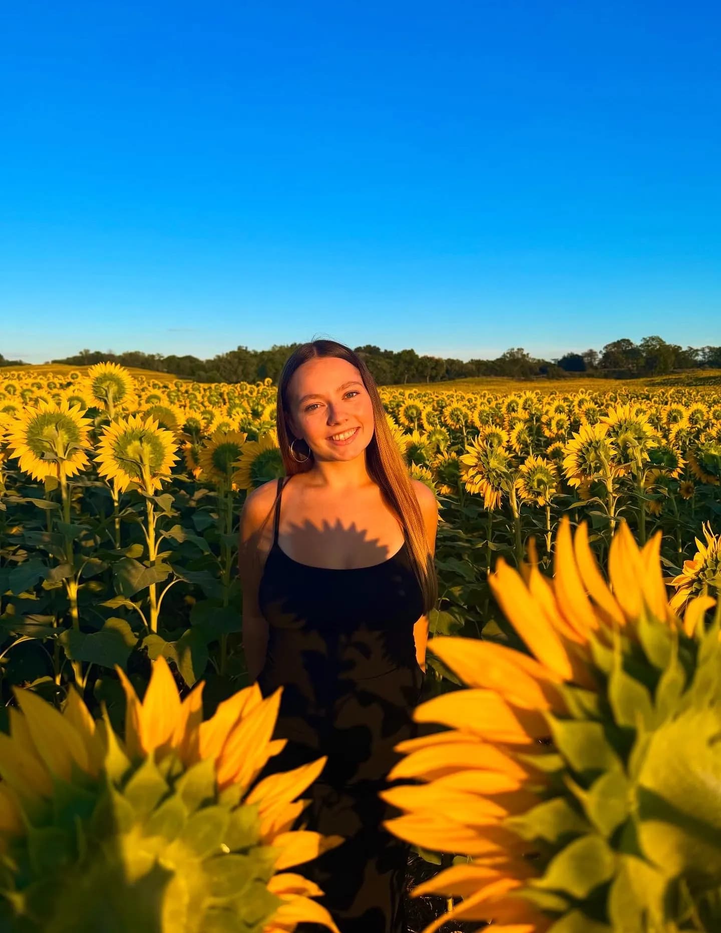 Madison image