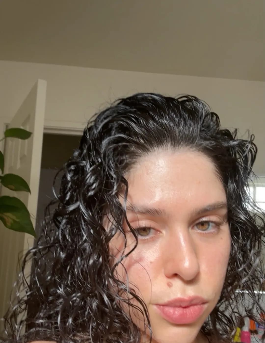 Gabbbbry2 image