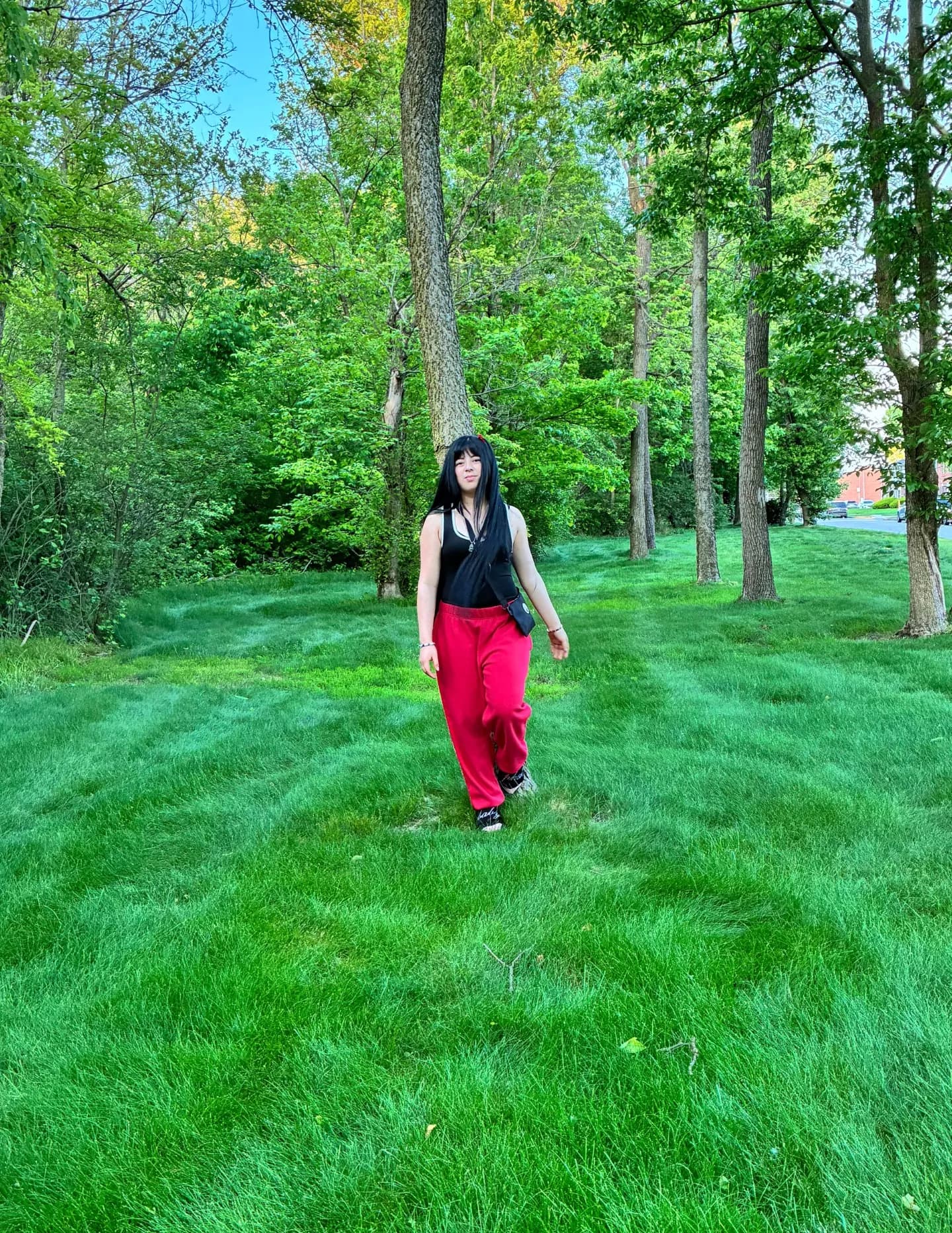 Areli image