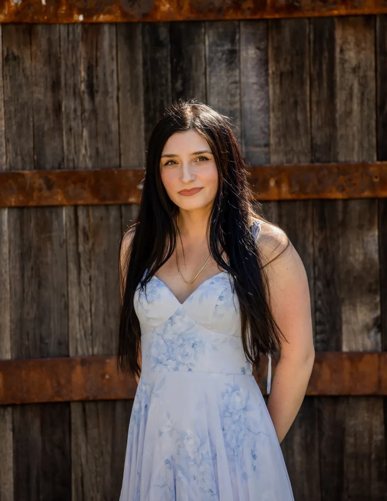Cometahayley image