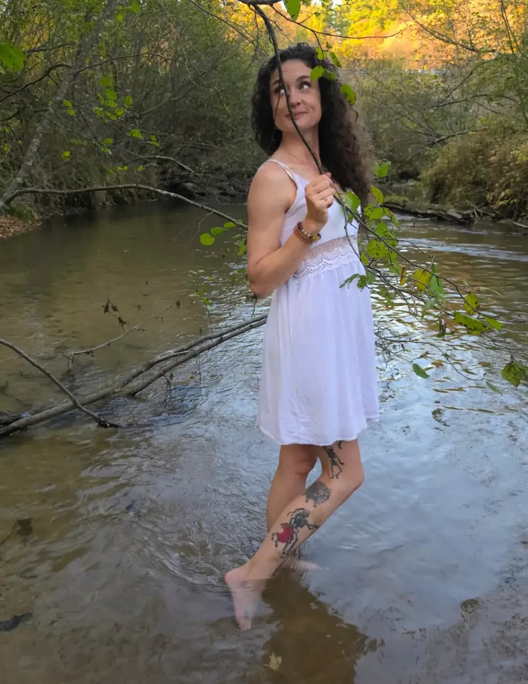 BriLea image