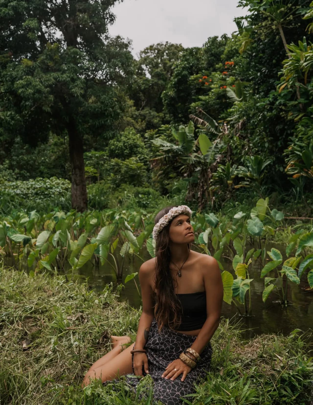 Alohilani image