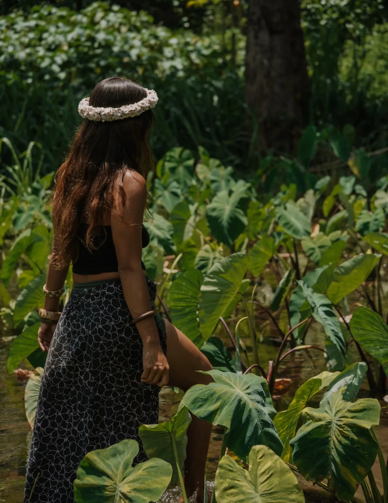 Alohilani image