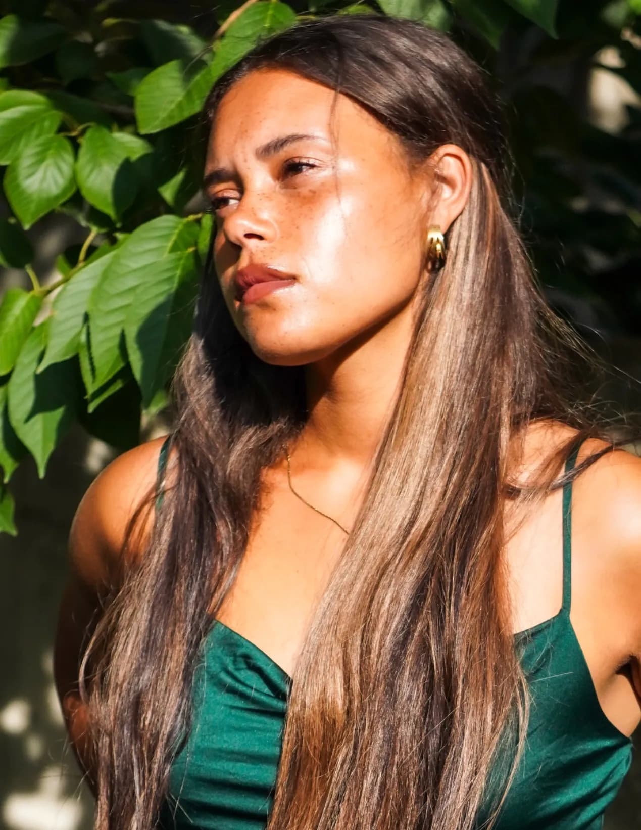 Lexxigorham image