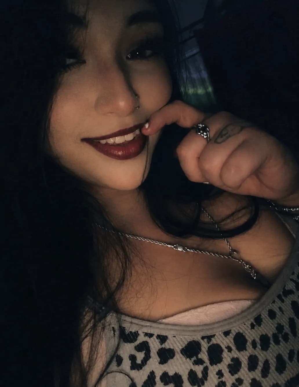 Cassidee image