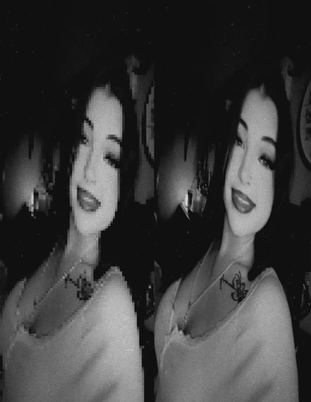 Cassidee image