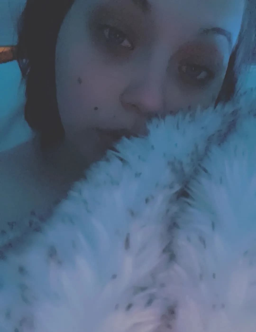 Ariela image