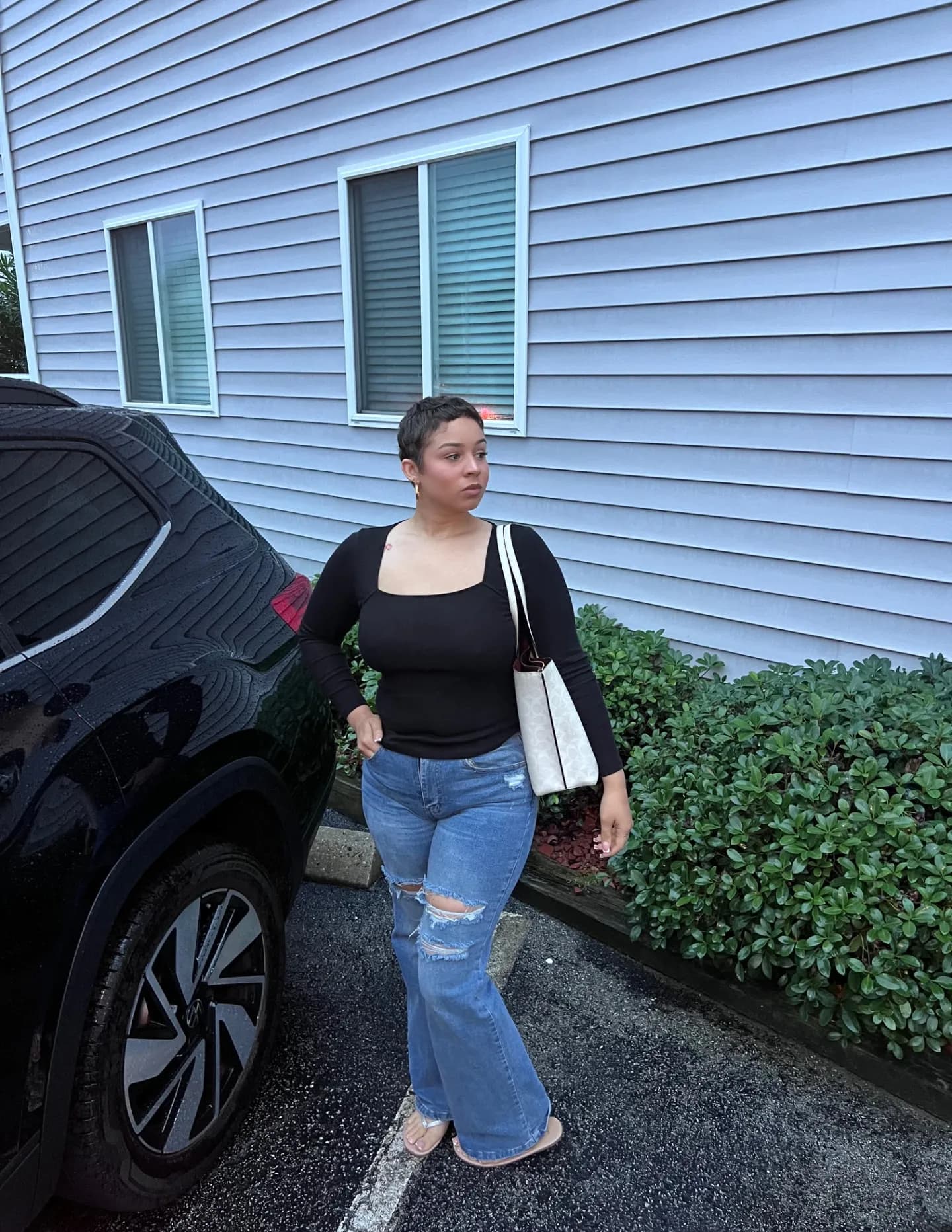 Aubreona image