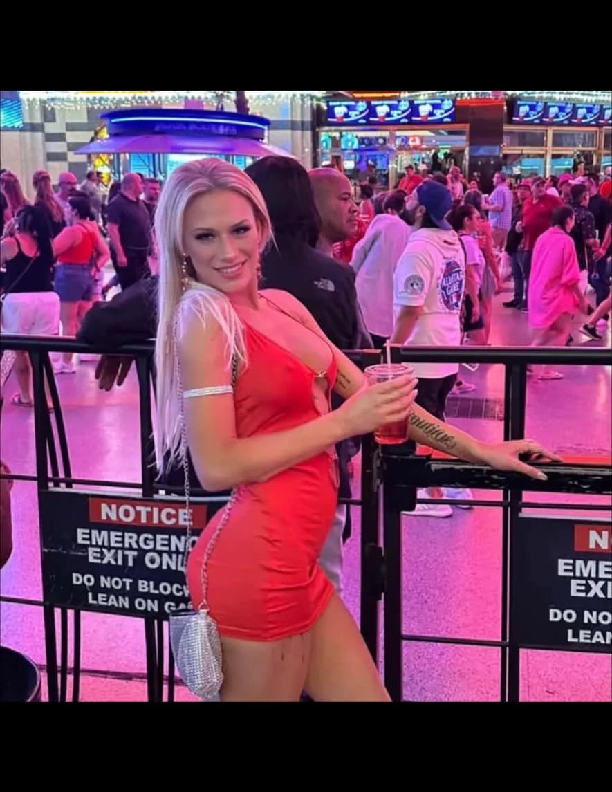 Laurenlynse image