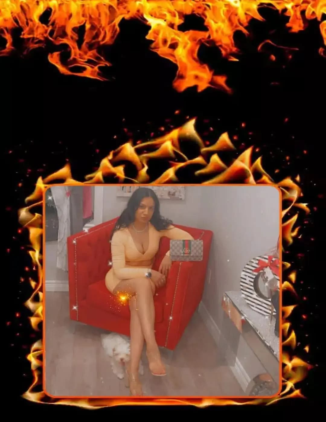 Nicole image