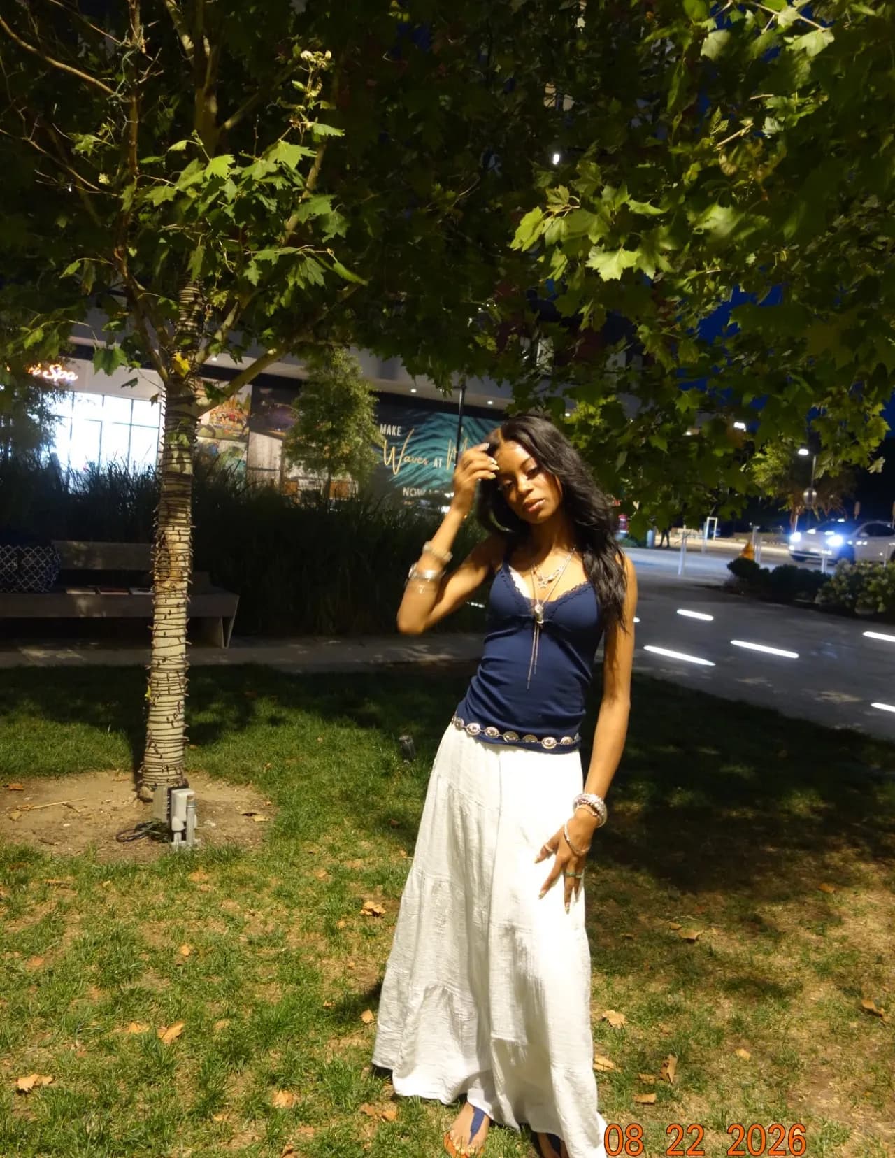 Amira image