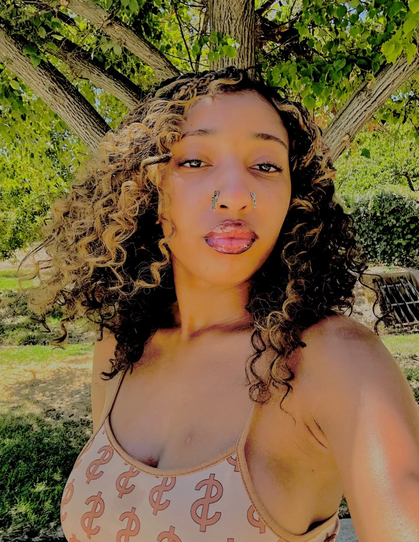 Tayla Taylor image