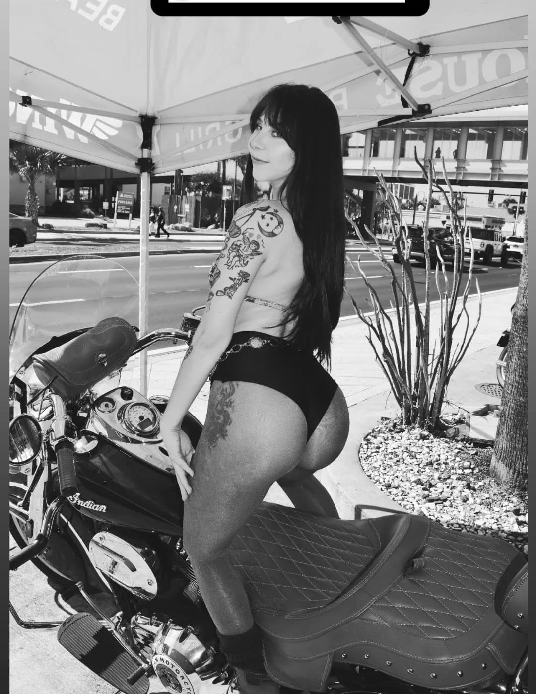 Kaily image