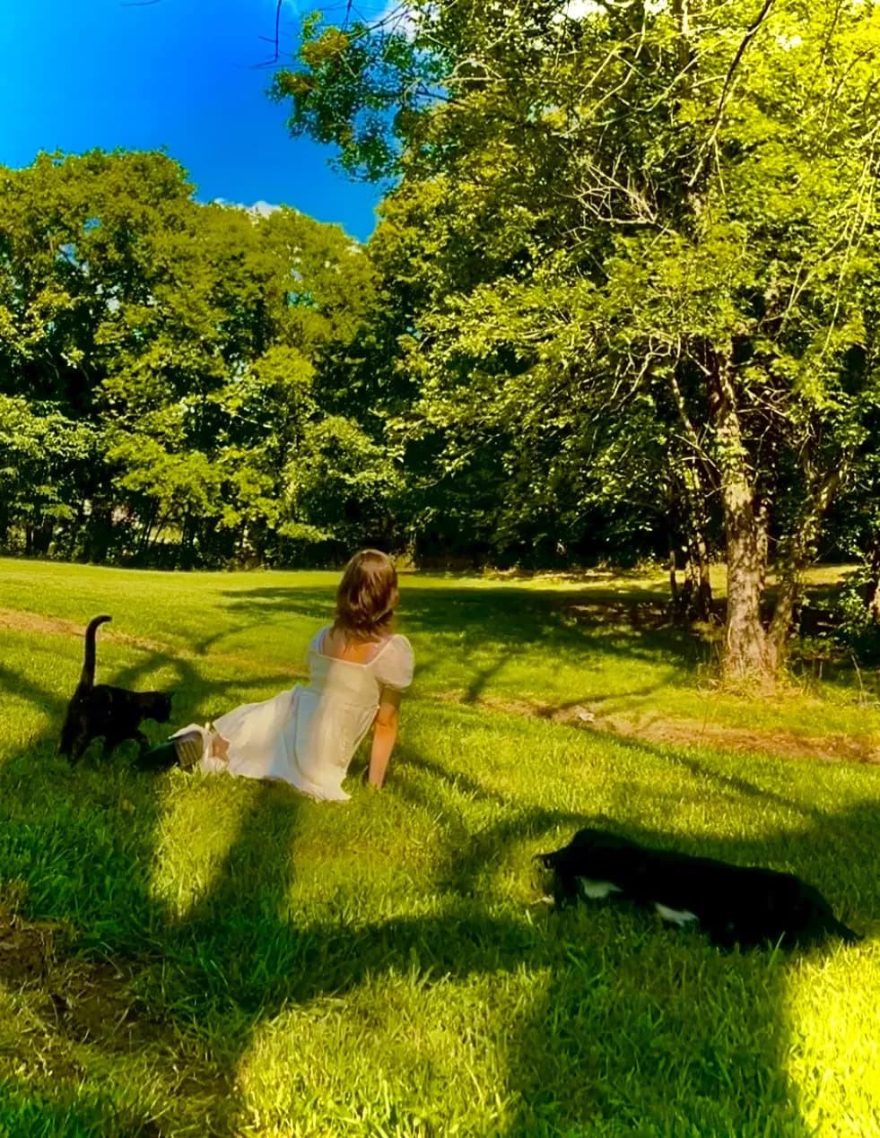 Kacey Kingsley image
