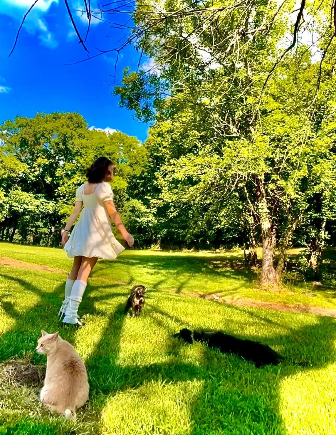 Kacey Kingsley image