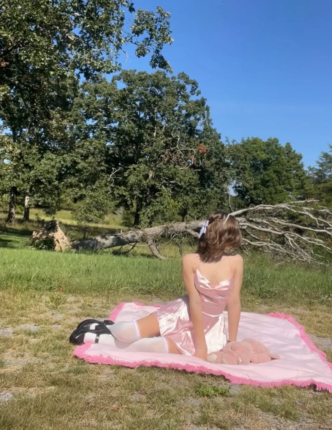 Kacey Kingsley image